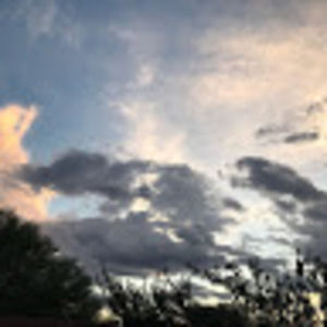 Meet your Posher, Trina